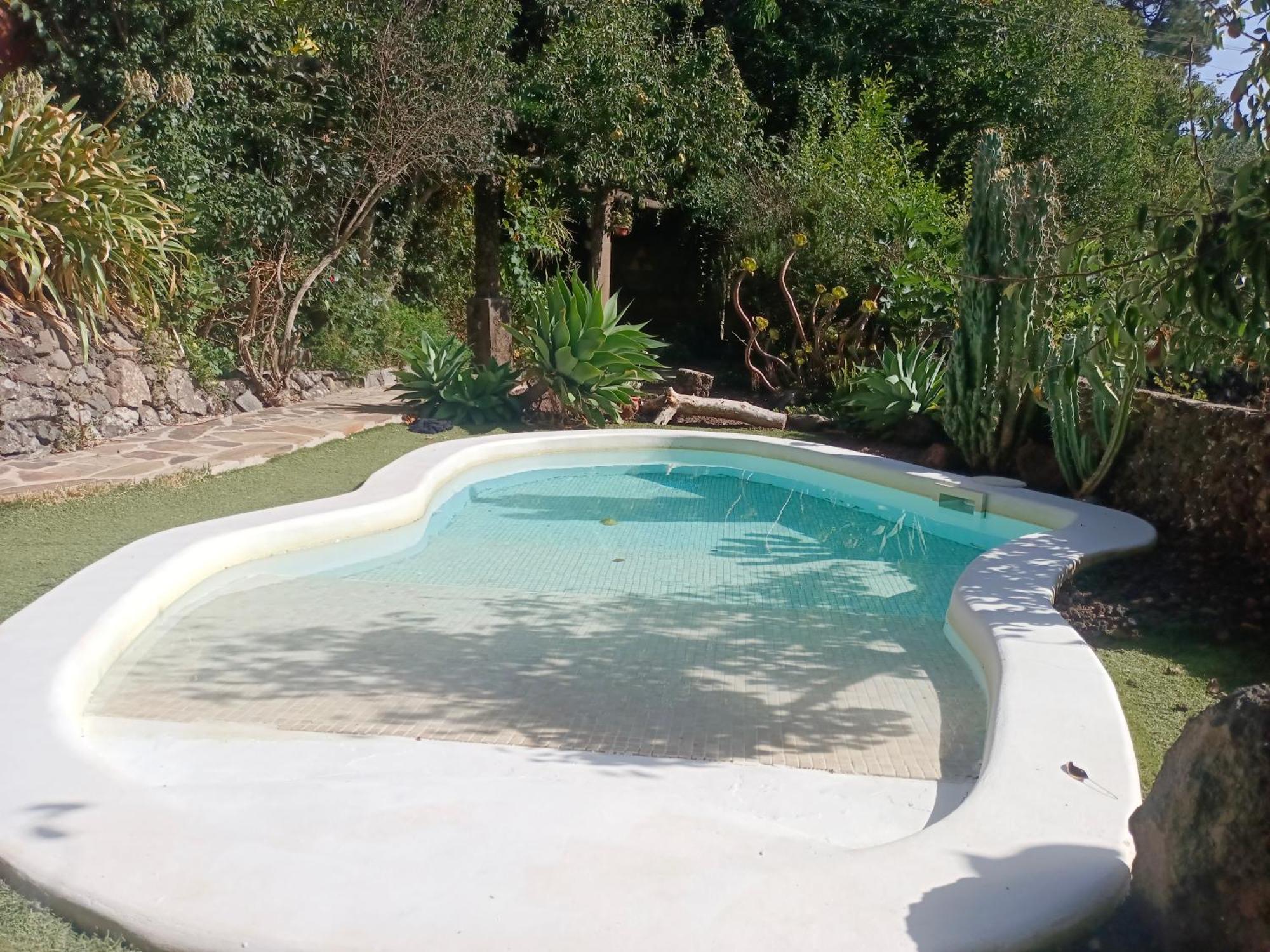 Los Matos, Canarian House In Valleseco Exterior photo