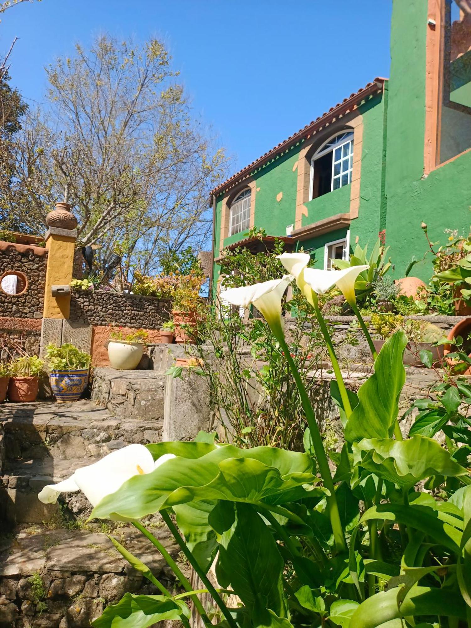 Los Matos, Canarian House In Valleseco Exterior photo