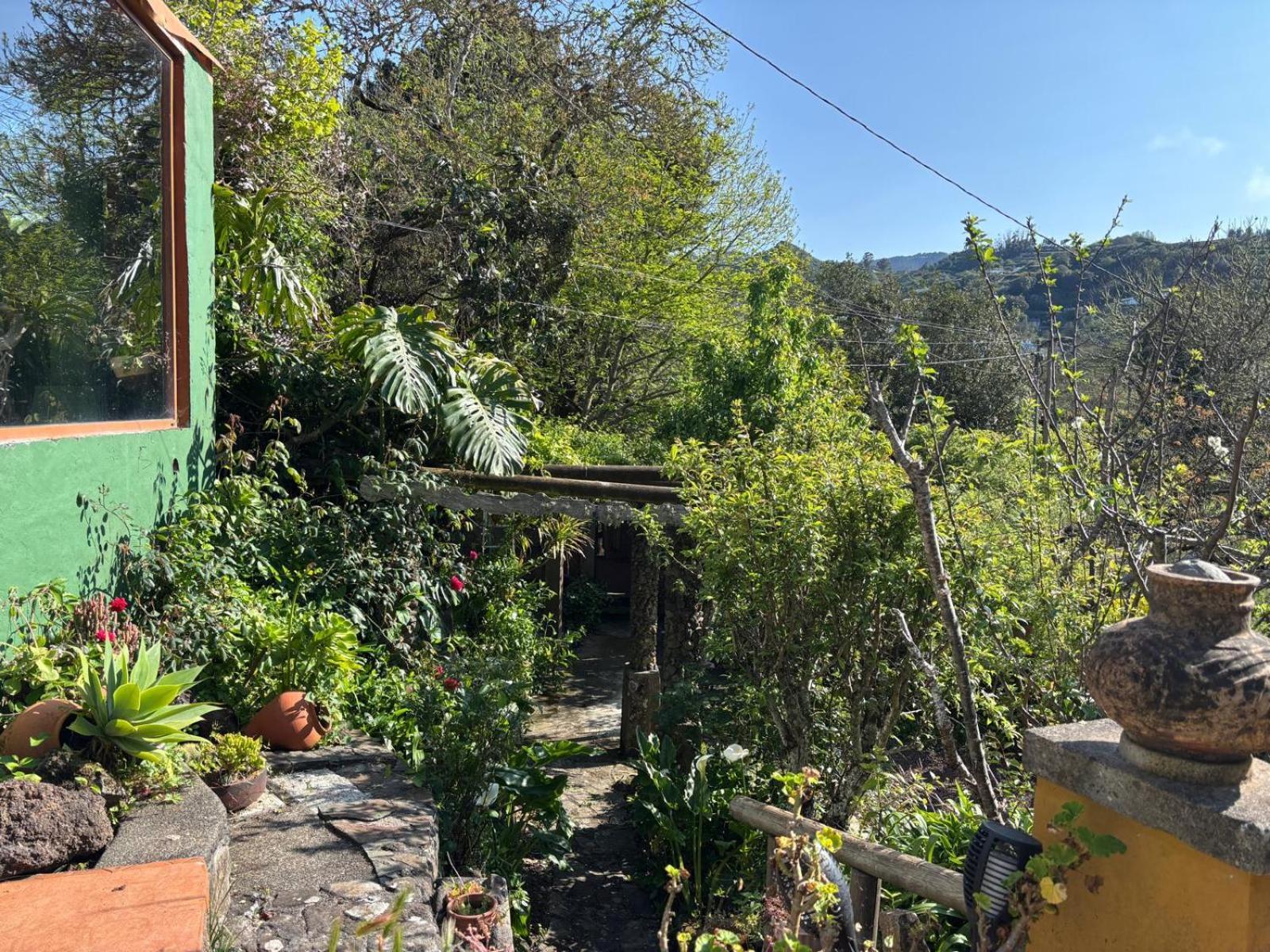 Los Matos, Canarian House In Valleseco Exterior photo